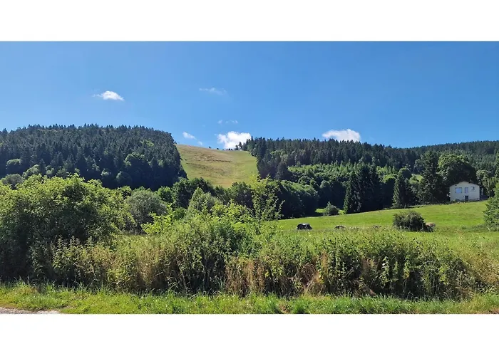 Maisonette-traum Mit Dachterrasse Und Panorama * Stryck